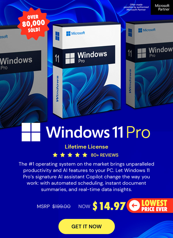 Microsoft Windows 11 Pro