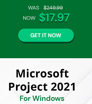 Microsoft Project 2021 Professional (PC)