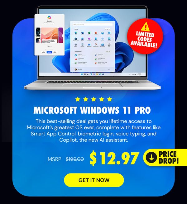 Microsoft Windows 11 Pro