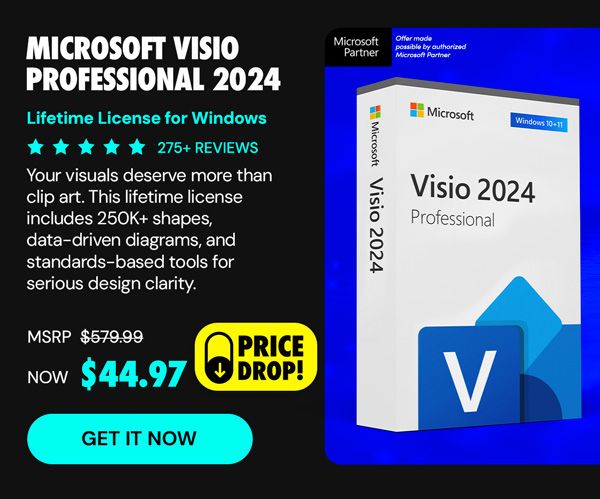 Microsoft Visio Professional 2024: Lifetime License for Windows