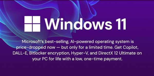 Microsoft Windows 11 Pro or Home