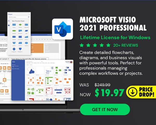 Microsoft Visio 2021 Professional for Windows