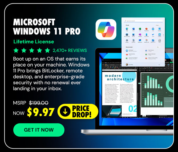 Microsoft Windows 11 Pro