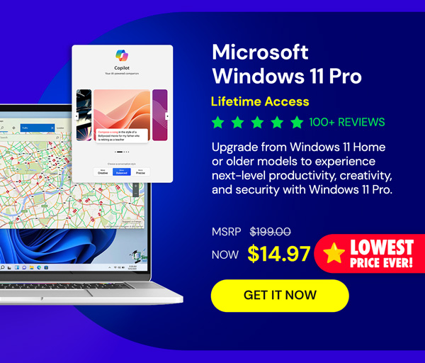 Microsoft Windows 11 Pro