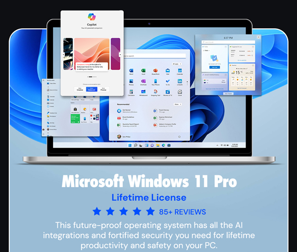 Microsoft Windows 11 Pro