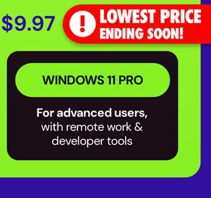 Microsoft Windows 11 Pro Lifetime License
