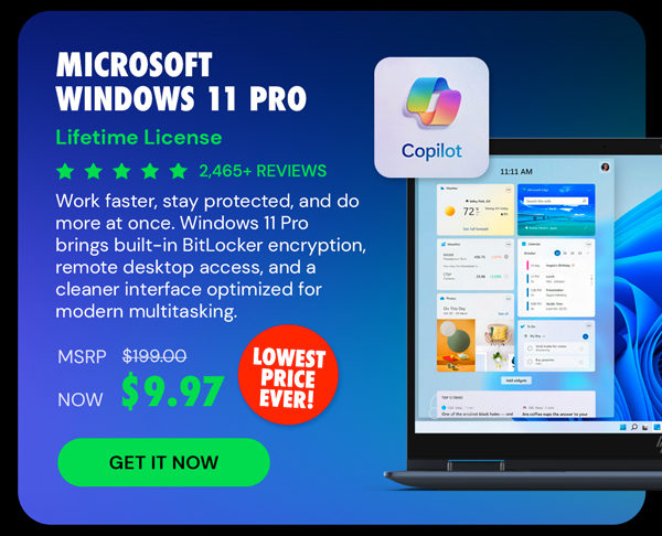 Microsoft Windows 11 Pro