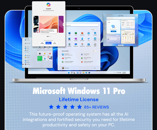 Microsoft Windows 11 Pro