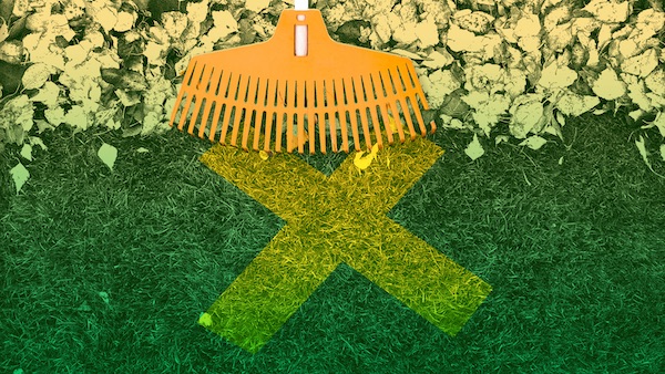 Your lawn's crying for help (you just can't hear it)