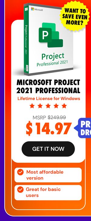Microsoft Project Professional 2021: Lifetime License for Windows