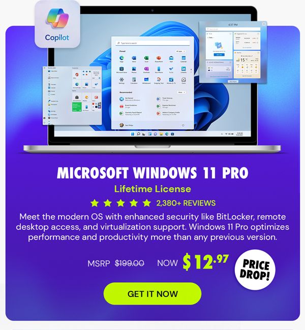 Microsoft Windows 11 Pro