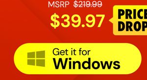 Microsoft Office Professional 2021 for Windows: Lifetime License