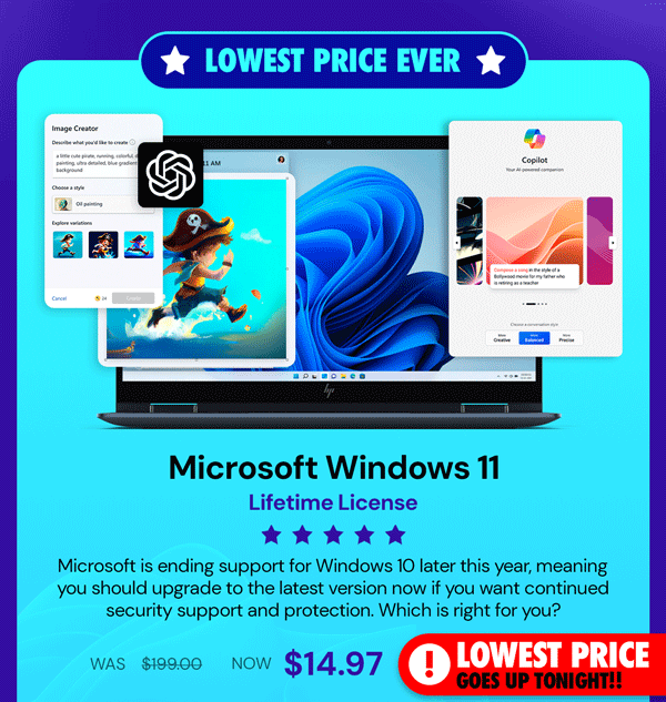 Microsoft Windows 11 Pro or Home Lifetime License