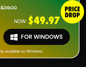 Microsoft Office Professional 2021 for Windows: Lifetime License