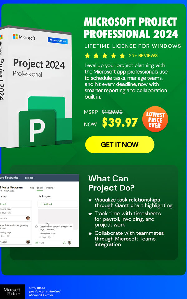 Microsoft Project Professional 2024: Lifetime License for Windows