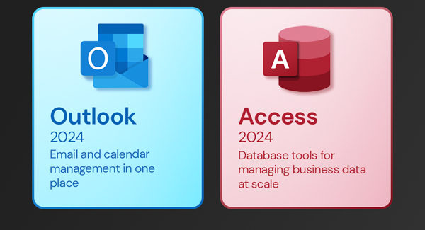 Microsoft Office 2024 Professional Plus Lifetime License