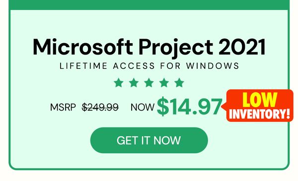 Microsoft Project 2021 Professional: Lifetime License for Windows