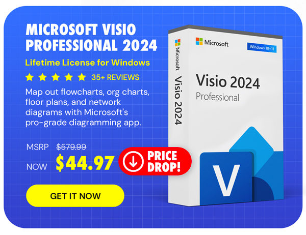 Microsoft Visio Professional 2024: Lifetime License for Windows