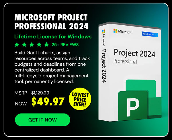 Microsoft Project Professional 2024: Lifetime License for Windows