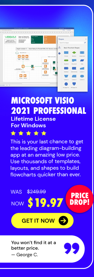 Microsoft Visio 2021 Professional (PC)