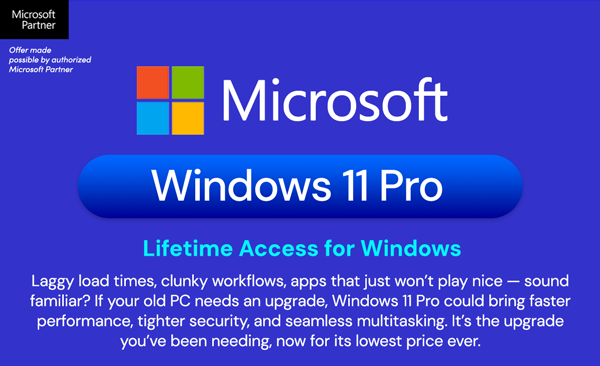 Microsoft Windows 11 Pro