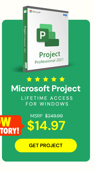 Microsoft Project 2021 Professional: Lifetime License for Windows