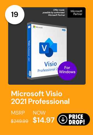 Microsoft Visio 2021 Professional for Windows