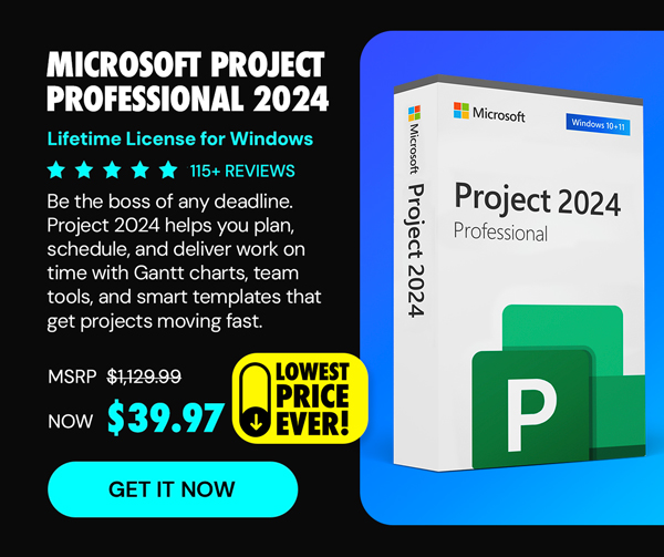 Microsoft Project Professional 2024: Lifetime License for Windows