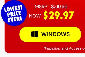 Microsoft Office Professional 2021 for Windows: Lifetime License