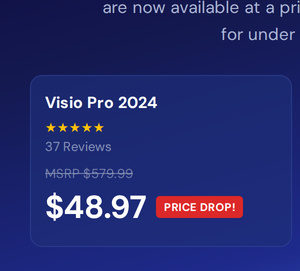 Microsoft Visio or Project 2024 Professional: Lifetime License for Windows