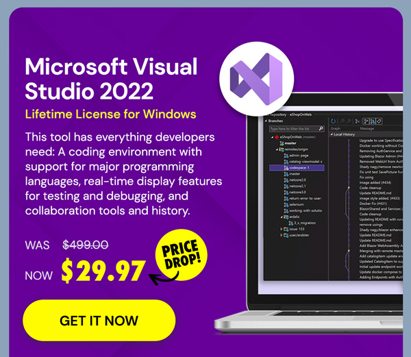 Microsoft Visual Studio Professional 2022 for Windows