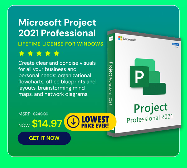 Microsoft Project 2021 Professional: Lifetime License for Windows