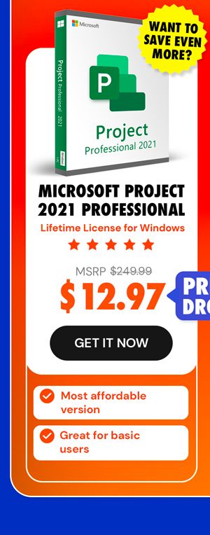 Microsoft Project Professional 2021: Lifetime License for Windows