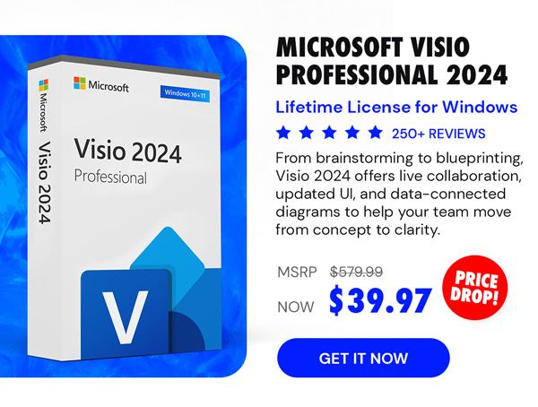 Microsoft Visio Professional 2024: Lifetime License for Windows