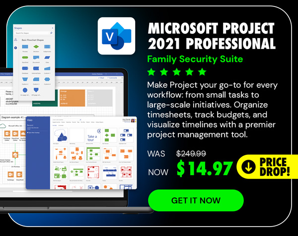 Microsoft Project 2021 Professional: Lifetime License for Windows