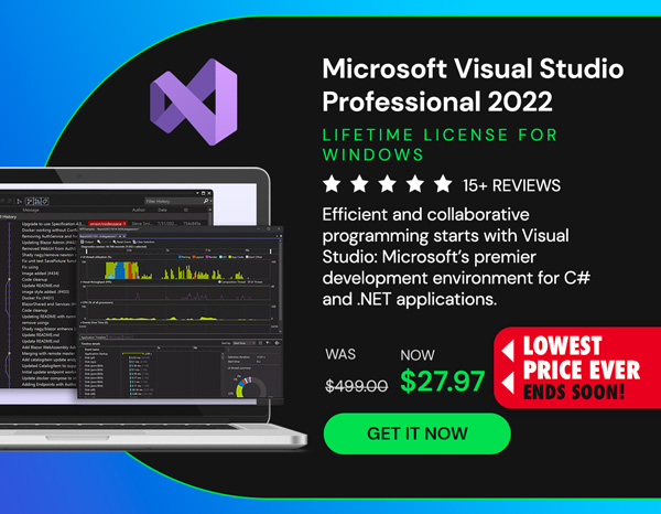 Microsoft Visual Studio Professional 2022 for Windows