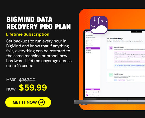 BigMind Data Recovery Pro Plan: Lifetime Subscription