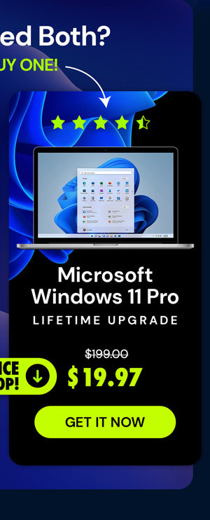 Microsoft Windows 11 Pro