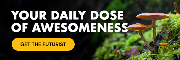 Wanna Learn Weird Stuff? Sign Up For The Futurist!