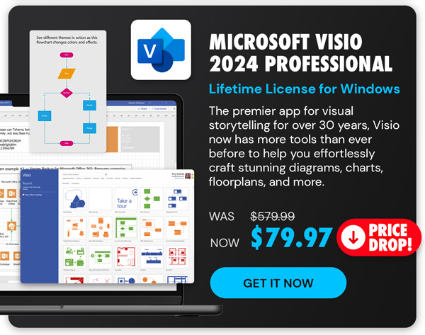 Microsoft Visio Professional 2024: Lifetime License for Windows