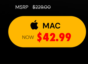 Microsoft Office Home & Business 2019 for Mac