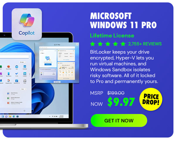 Microsoft Windows 11 Pro