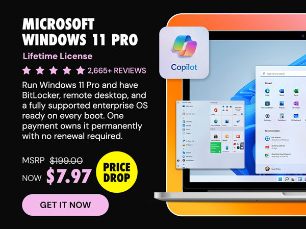 Microsoft Windows 11 Pro