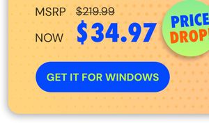 Microsoft Office Professional 2021 for Windows: Lifetime License