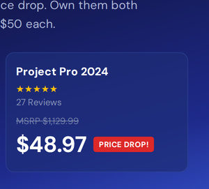 Microsoft Visio or Project 2024 Professional: Lifetime License for Windows