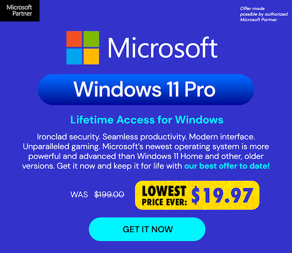 Microsoft Windows 11 Pro