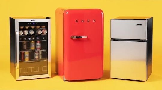 Small fridge, big opinions