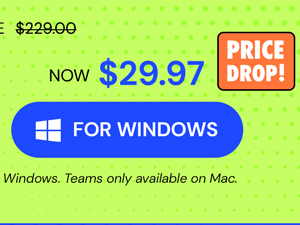Microsoft Office Professional Plus 2019 for Windows