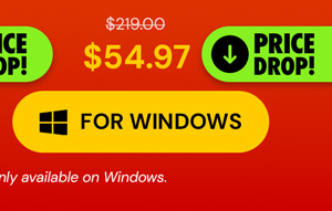 Microsoft Office Professional 2021 for Windows: Lifetime License
