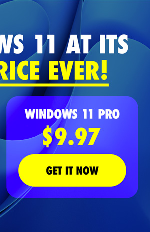 Microsoft Windows 11 Pro